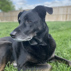 Fundraising Page: Kaylee Maslowsky